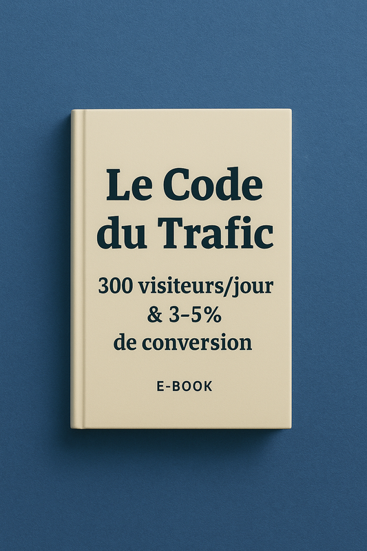 Le Code du Trafic : 300 Visiteurs tout les 2 Jours et 3–5% de Conversion